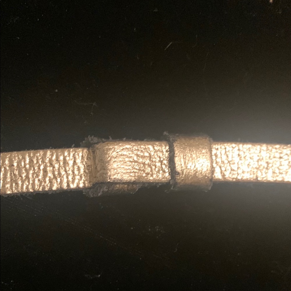 Express Gold Belt Classic Accessory - Picture 3 of 6
